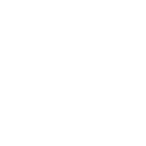 The APIS 