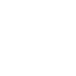 NextDAO 