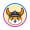 FLOKI icon